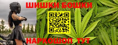 крисы Кунгур
