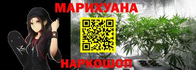 крисы Кунгур