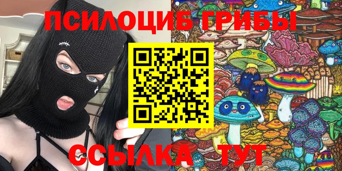 Псилоцибиновые грибы Psilocybe Гусев