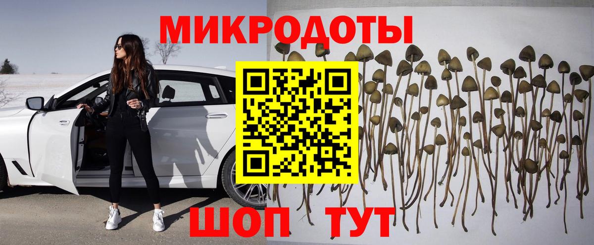 Псилоцибиновые грибы GOLDEN TEACHER  Вход с VPN  Гусев 